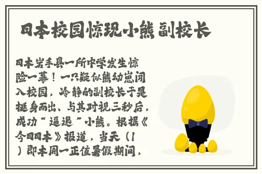 遇到网址多少最新版本